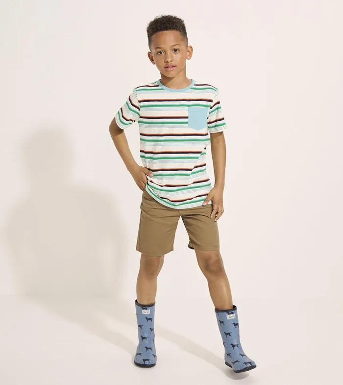 Boys Hiking Stripes Pocket Tee Hatley