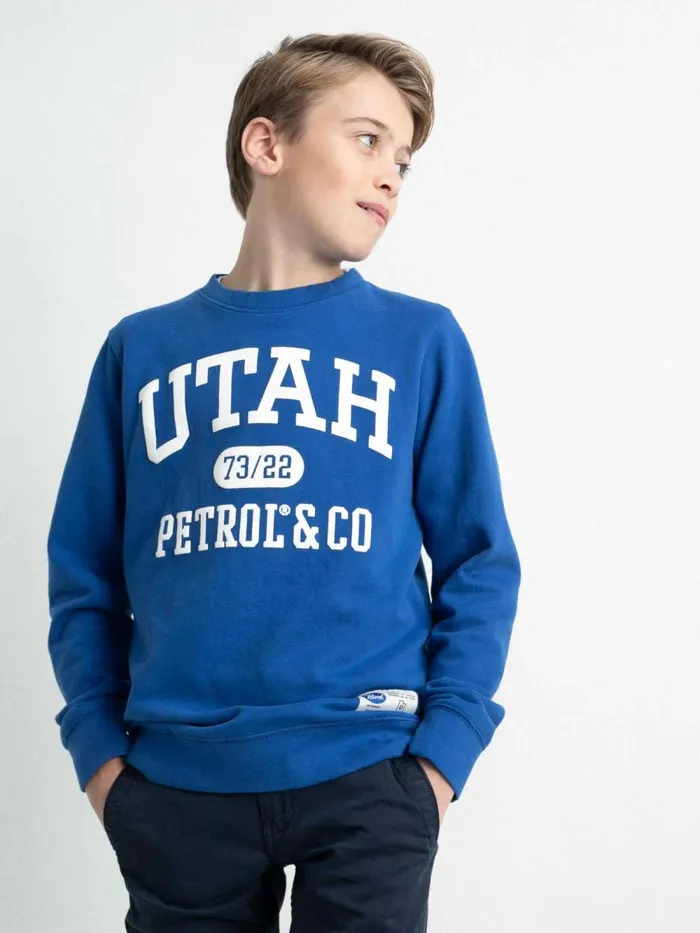 Boys Knits and Sweats Petrol Industries Pullover With Logo Artwork Imperial Blue