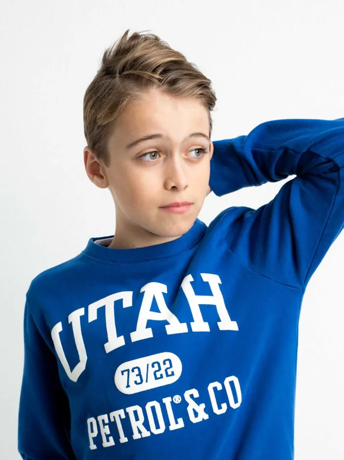 Boys Knits and Sweats Petrol Industries Pullover With Logo Artwork Imperial Blue