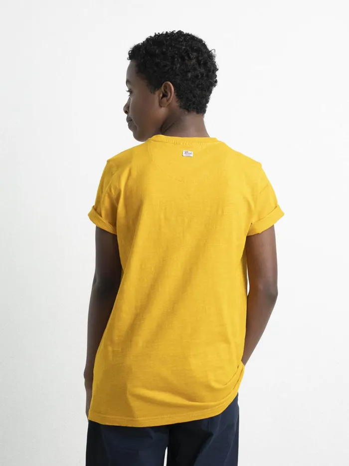Boys TShirts Petrol Industries Artwork TShirt Fresh Mango