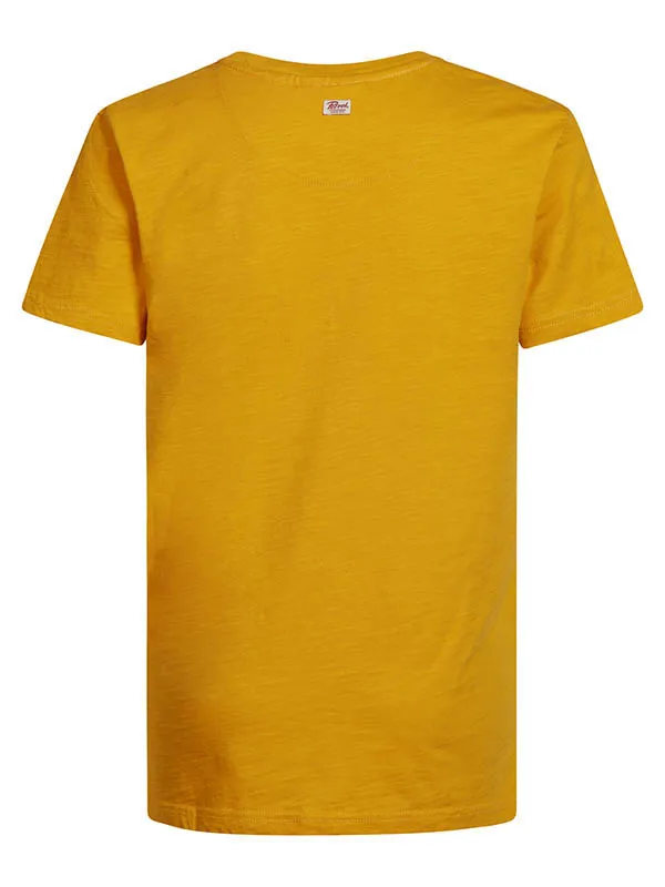 Boys TShirts Petrol Industries Artwork TShirt Fresh Mango