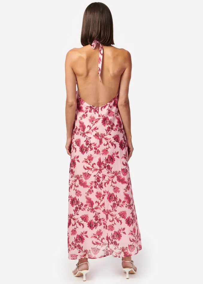 CAMI NYC Dresses Women Ithaca Cotton Dress Tudor Floral