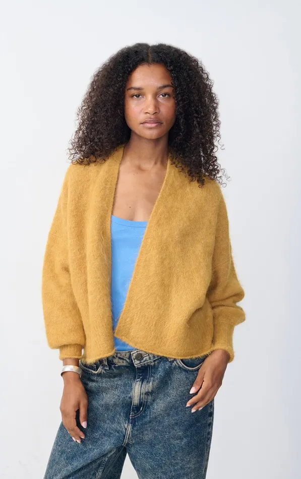 Cardigan Nuny Honey Melange Women American Vintage Jumpers and Cardigans