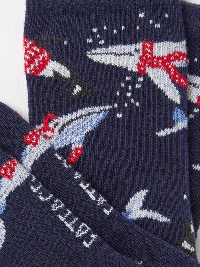 Kids Socks Fat Face Blue Shelter Wilson The Whale Socks 1 Pack Kids Socks Fat Face Blue Shelter Wilson The Whale Socks 1 Pack