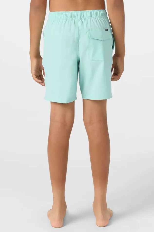 LENNOX HERMOSA 16034 SHORTS Kids O039NEILL Boy039S Clothing