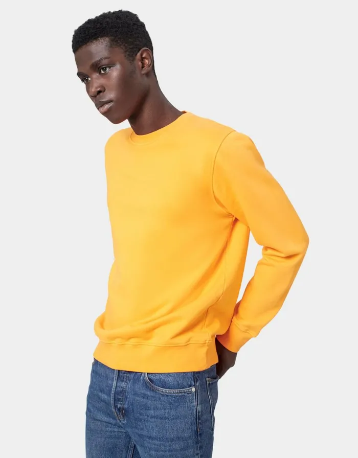 Men Crewneck Sweatshirts Colorful Standard Classic Organic Crew Deep Black