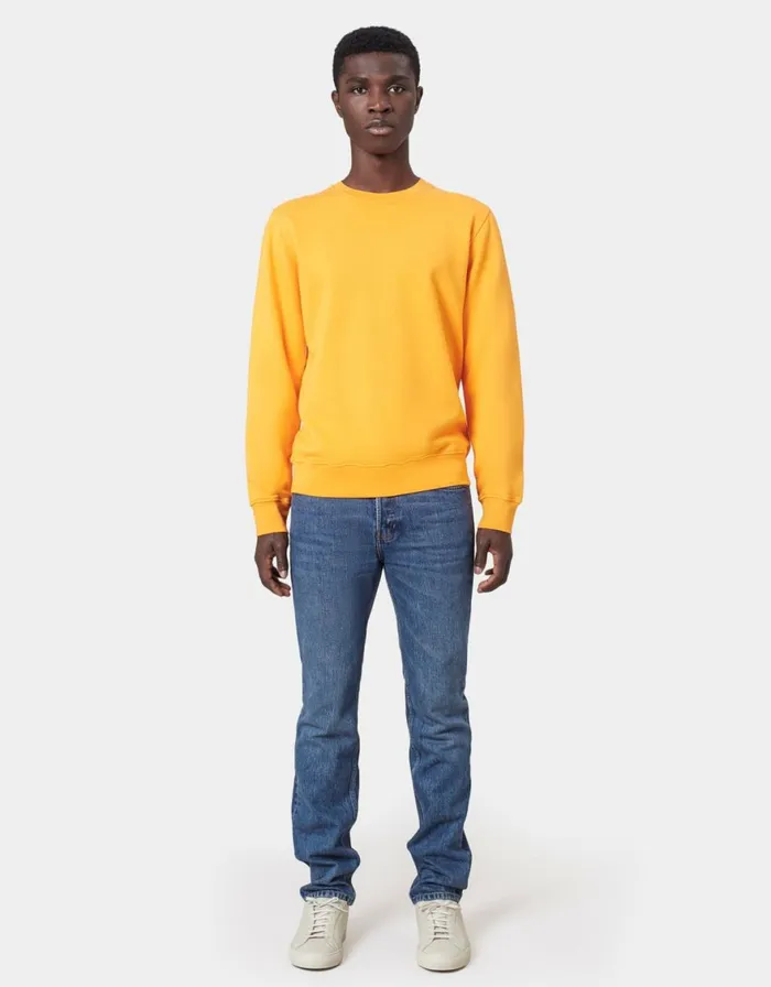Men Crewneck Sweatshirts Colorful Standard Classic Organic Crew Deep Black