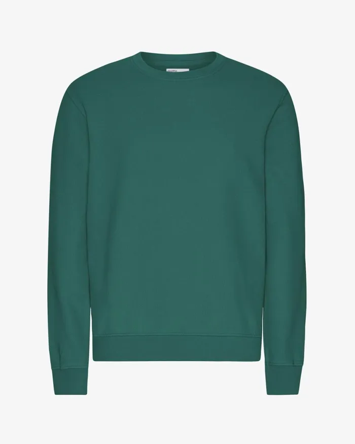Men Crewneck Sweatshirts Colorful Standard Classic Organic Crew Pine Green