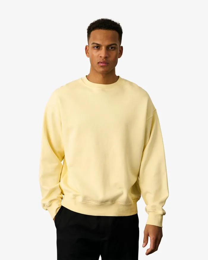 Men Crewneck Sweatshirts Colorful Standard Organic Oversized Crew Cedar Brown