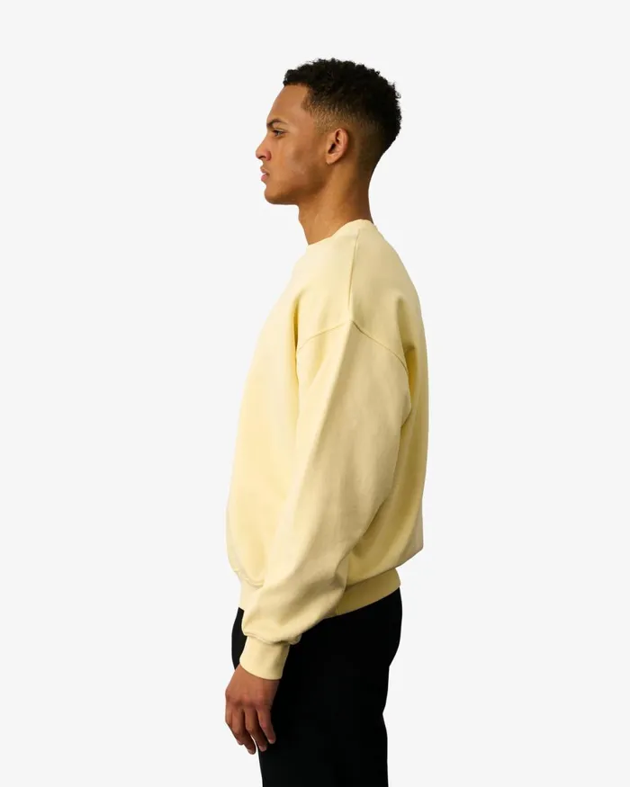 Men Crewneck Sweatshirts Colorful Standard Organic Oversized Crew Cedar Brown