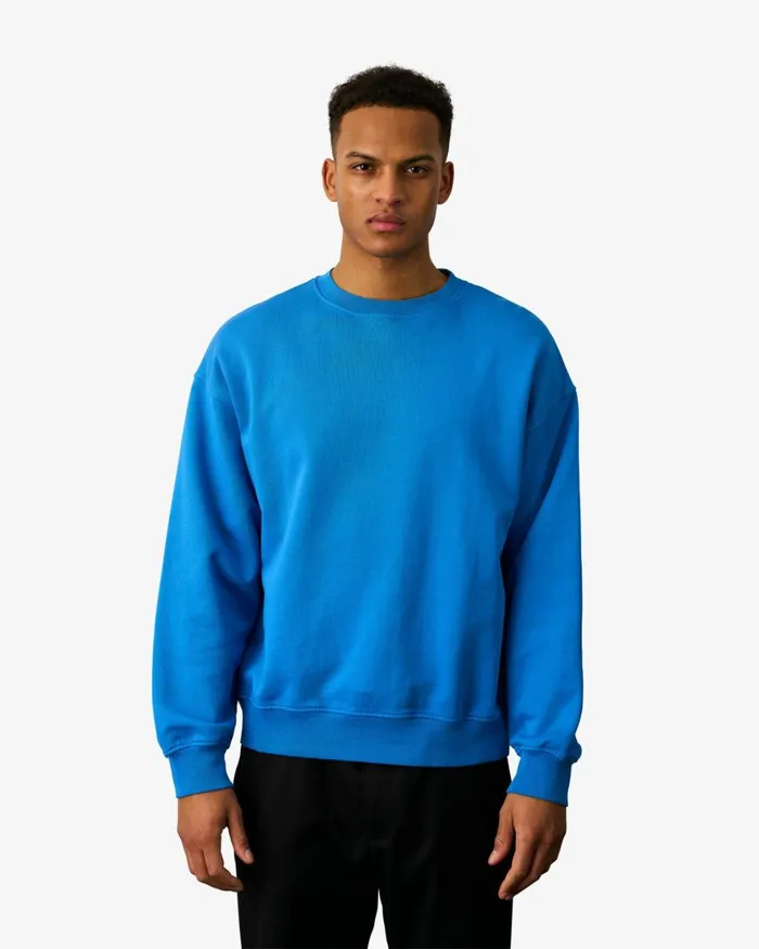Men Crewneck Sweatshirts Colorful Standard Organic Oversized Crew Midnight Forest
