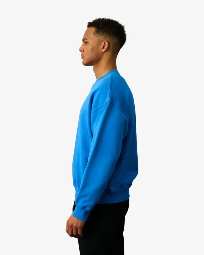 Men Crewneck Sweatshirts Colorful Standard Organic Oversized Crew Midnight Forest