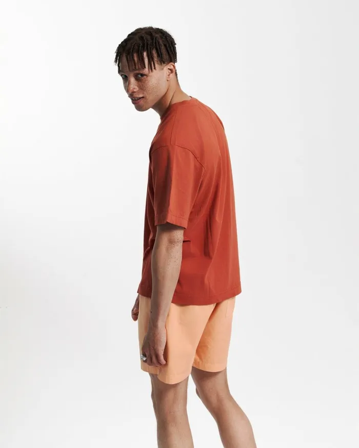 Men TShirts Colorful Standard Oversized Organic TShirt Sahara Camel