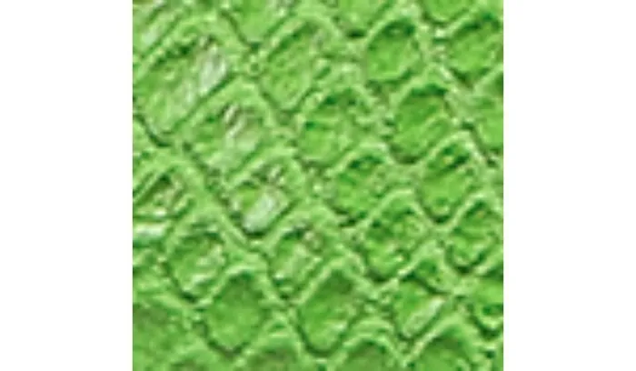 Sandals Women Franco Sarto Franco Glenni Sandal Green Apple Snake Faux Leather