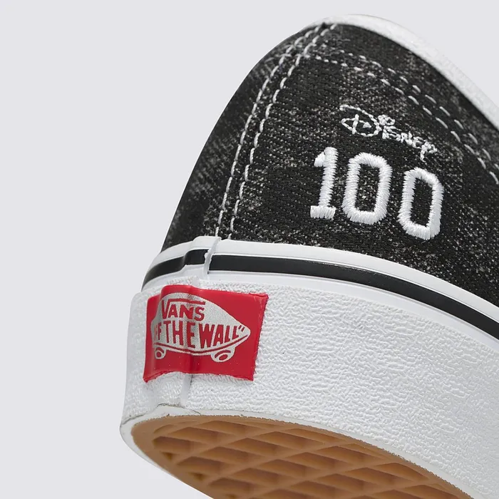 Vans Classics Men Disney X Authentic Shoes Multicolour