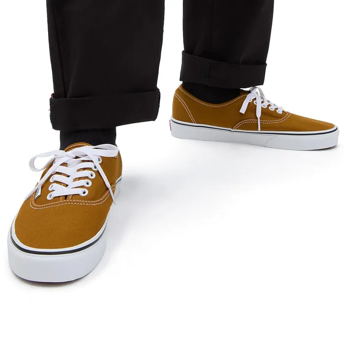 Vans View All Men Color Theory Authentic Shoes Brown
