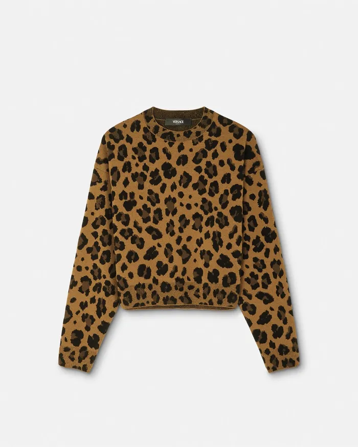 Versace Leopard Jacquard Knit Oversized Sweater Animalier Women Knitwear