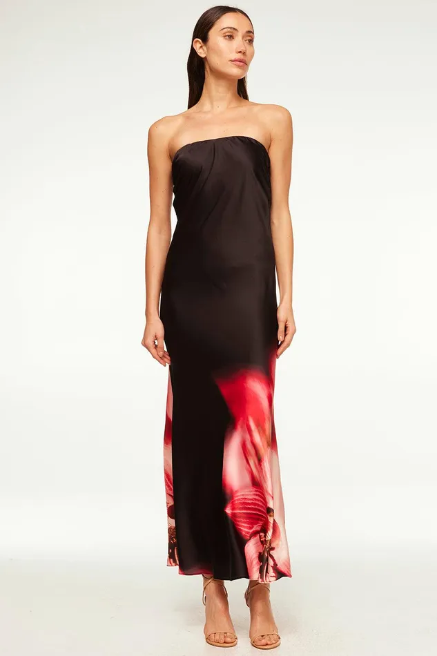 Women MISA Los Angeles Dresses CHERYL DRESS Fernal Glow