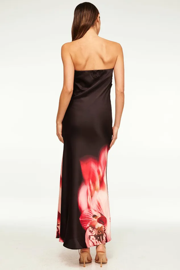 Women MISA Los Angeles Dresses CHERYL DRESS Fernal Glow