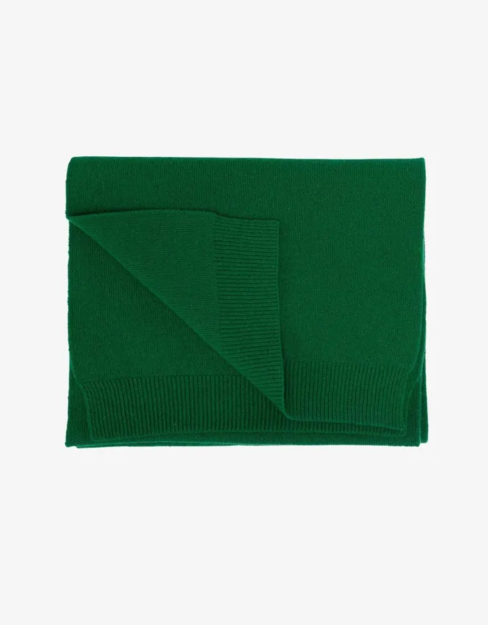 Women Scarves Colorful Standard Merino Wool Scarf Kelly Green