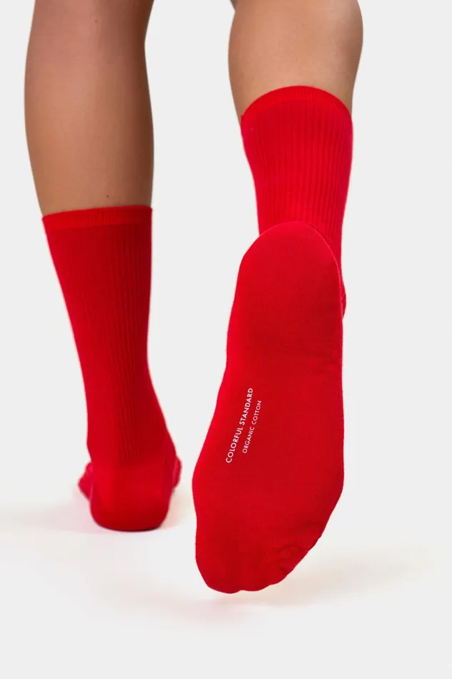 Women Socks Colorful Standard Women Classic Organic Sock Optical White